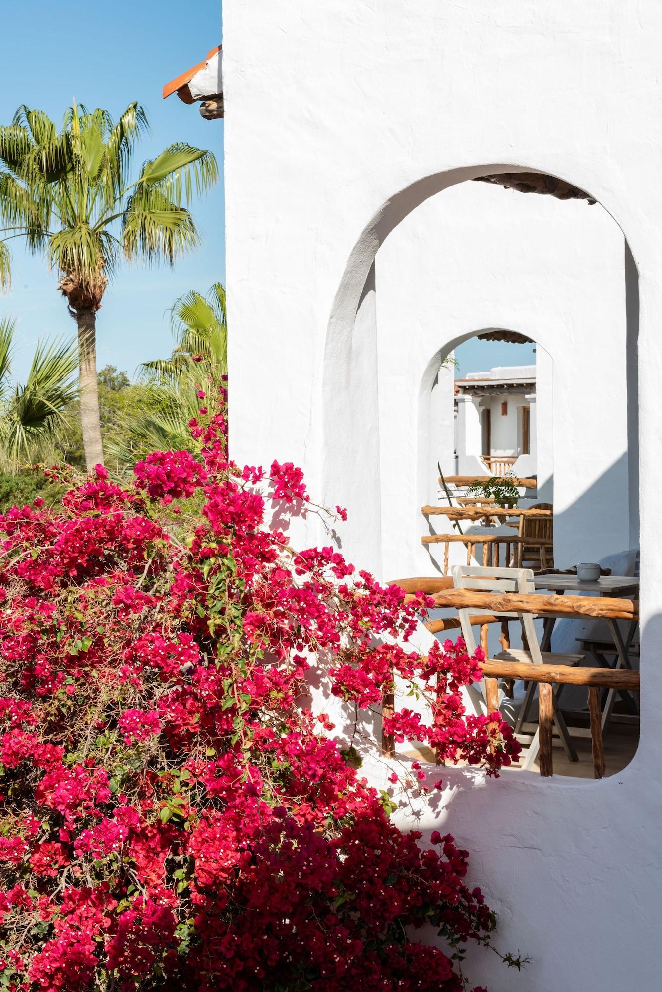 Petunia Ibiza (Adults Only) San José Exterior foto