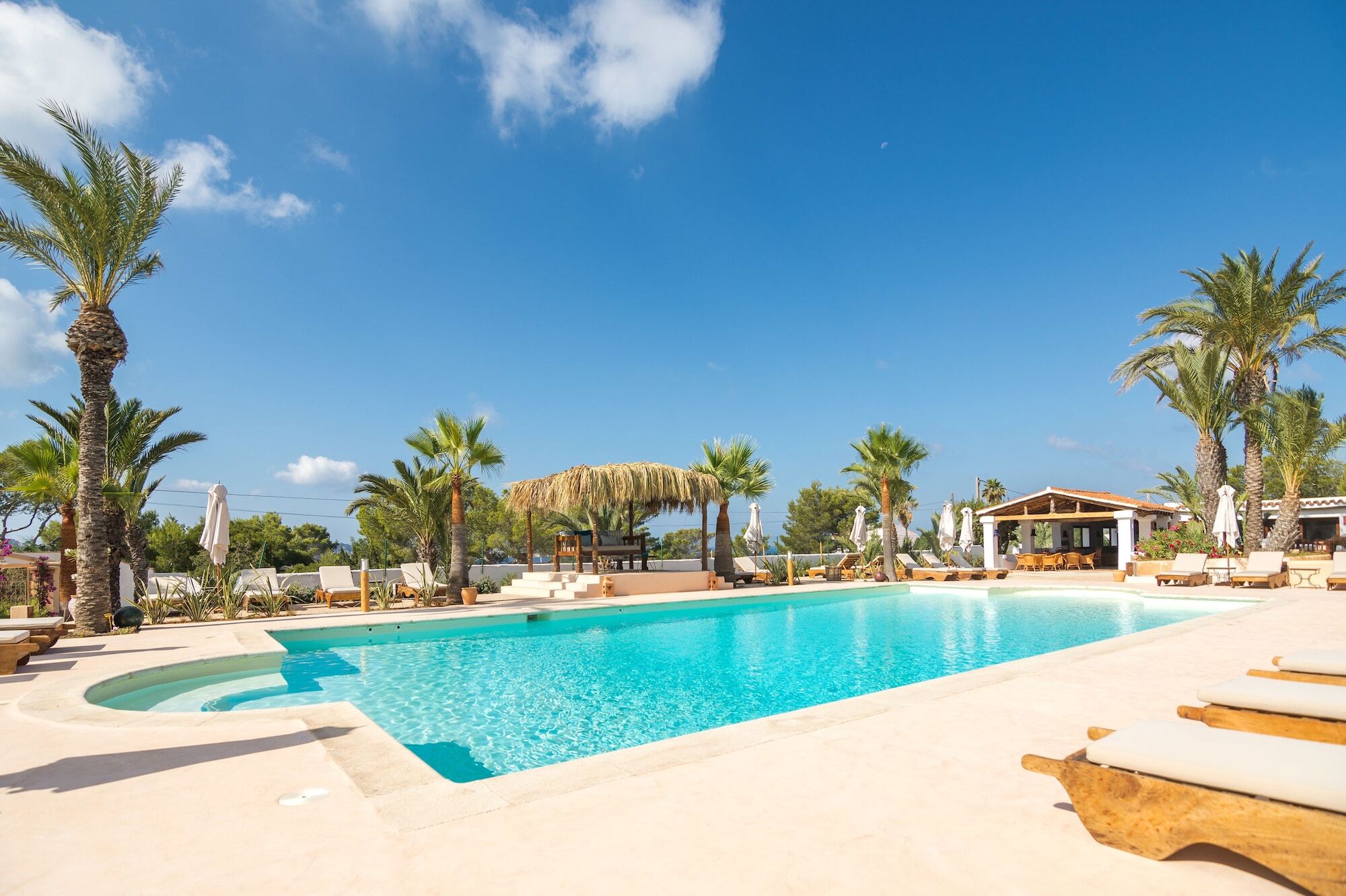 Petunia Ibiza (Adults Only) San José Exterior foto