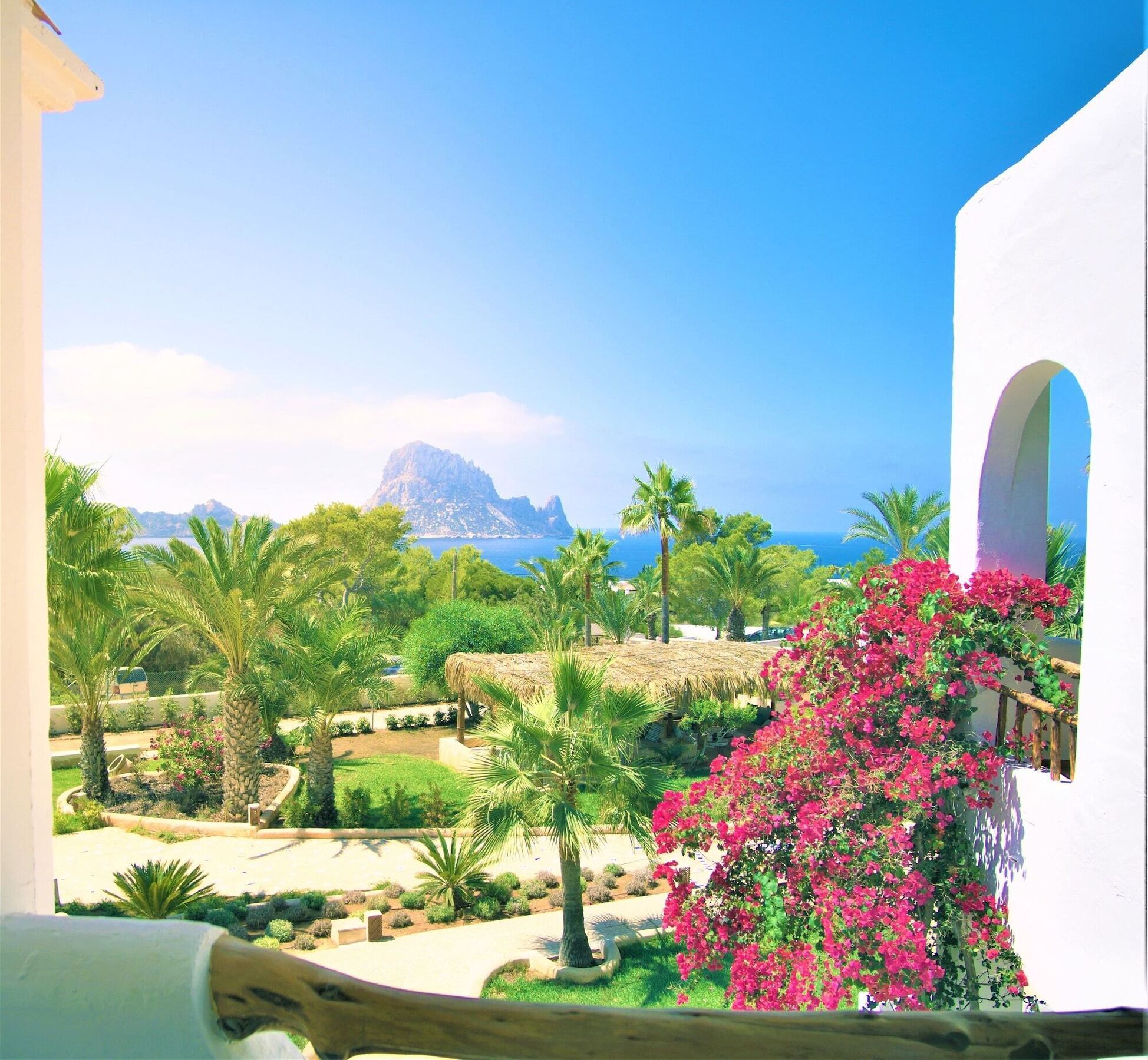 Petunia Ibiza (Adults Only) San José Exterior foto